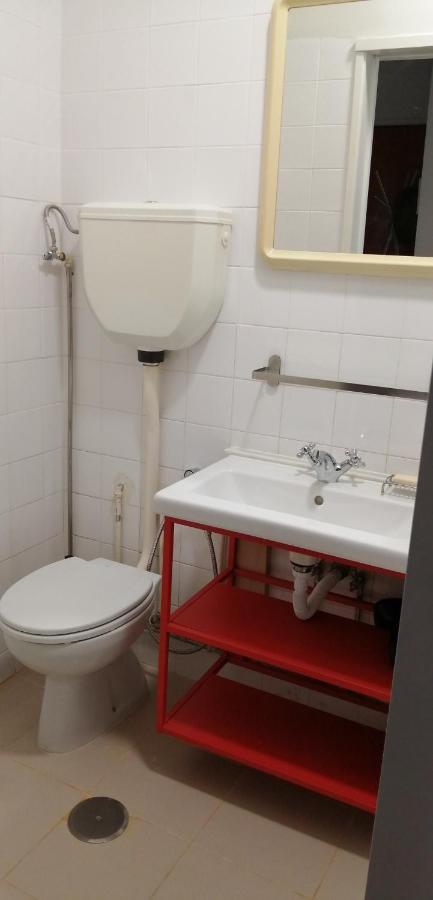 Alex Point - Guest House Viana do Castelo Bagian luar foto