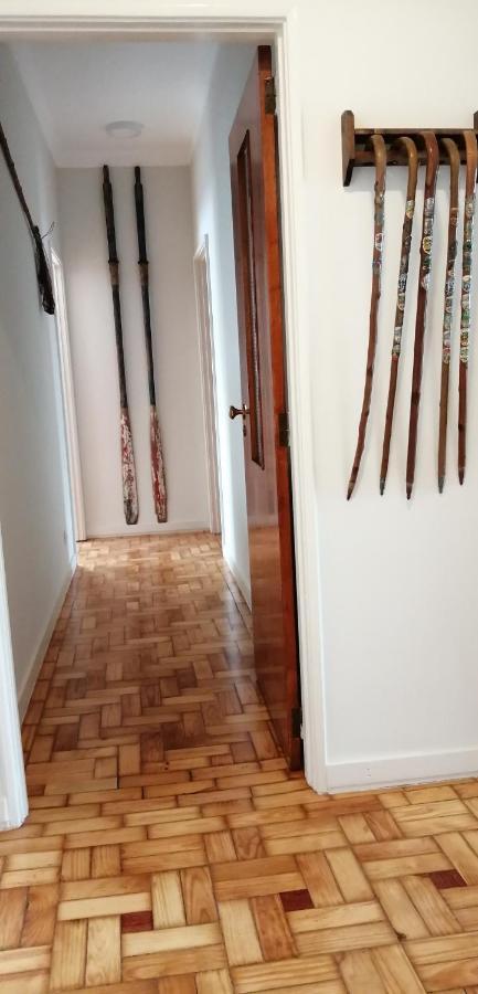 Alex Point - Guest House Viana do Castelo Bagian luar foto